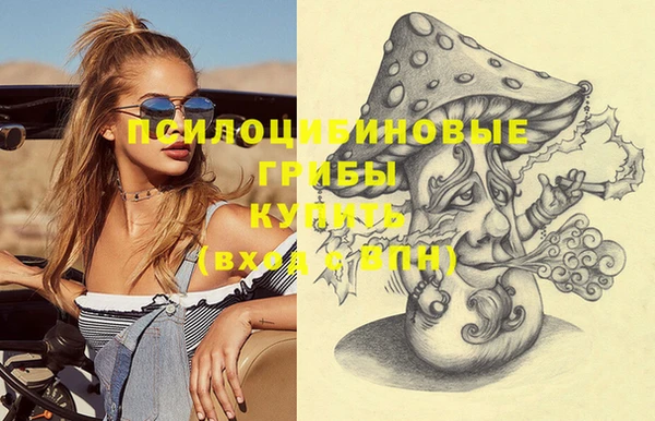 хмурый Алексеевка